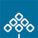 Kinohana